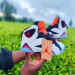Jordan 6